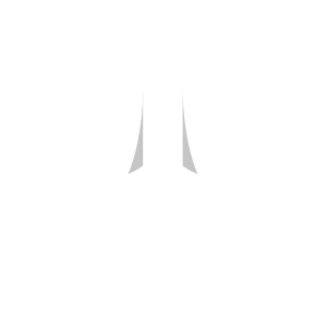 לוגו U.P.PRO